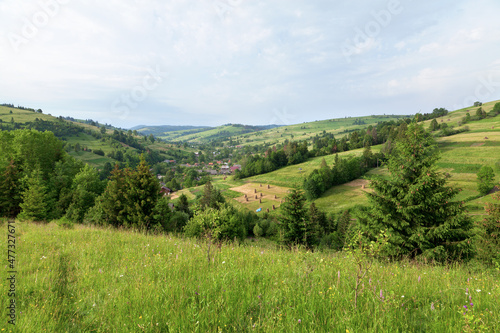 Fototapeta Naklejka Na Ścianę i Meble -  Summer on mountain meadow, view of the forests and village.
