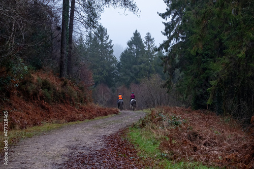 horse riders riding through the forest women 