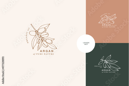 Vector illustration argan branch - vintage engraved style. Logo composition in retro botanical style.