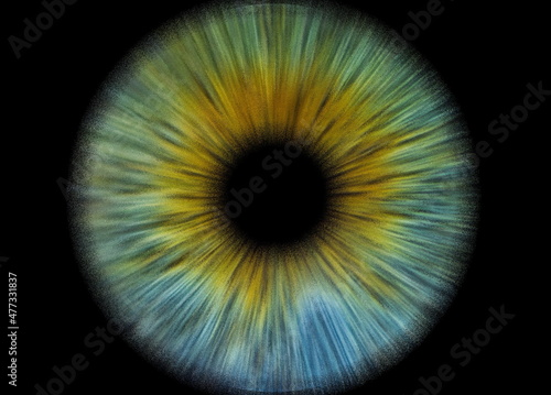 Conceptual creative photo of a male eye close-up macro pixel isolated on a black background.
