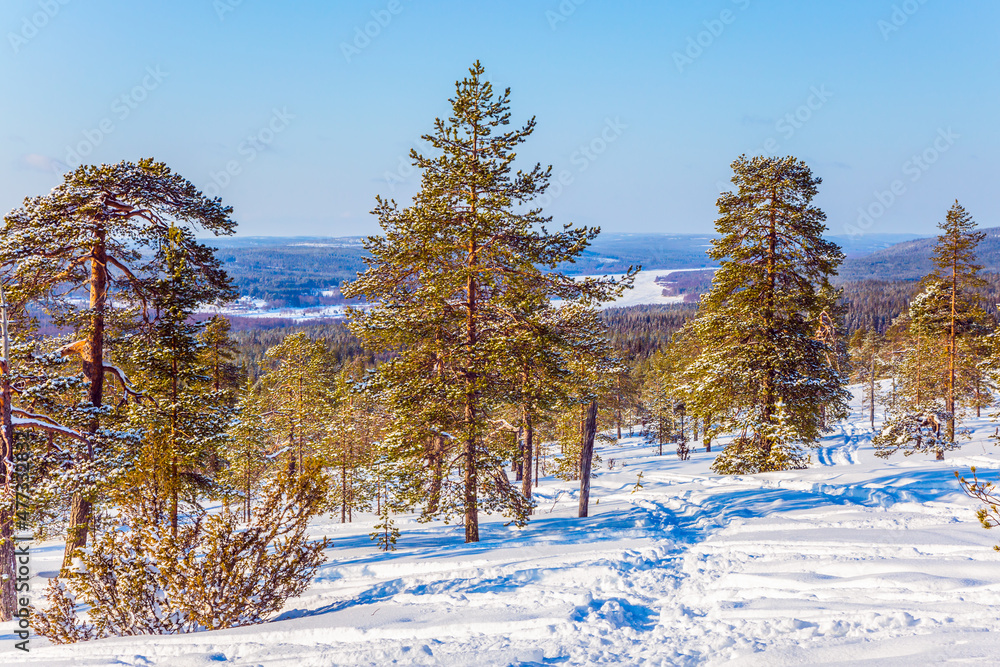 Sunny winter day