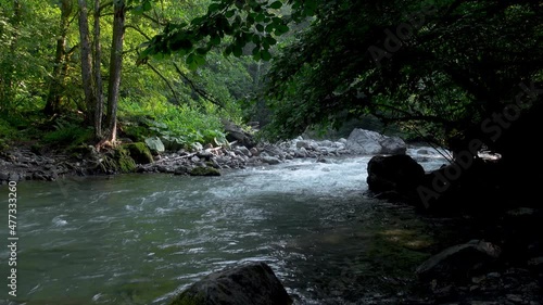  Clean mountain river surrounded by forest. Caucasian State Natural Biosphere Reserve named after Kh.G. Shaposhnikov. Shakhe river. Adygea, Russia. photo