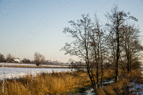 Fototapeta Naklejka Na Ścianę i Meble -  Krajobraz, wsi,