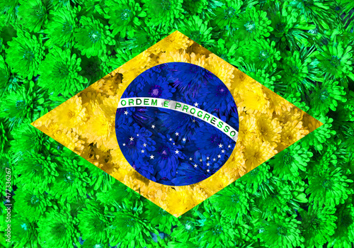 Texture of the national flag of Brazil. Flower arrangement