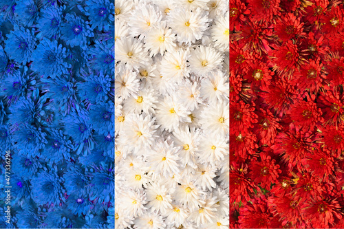Texture of the national flag of France. Flower arrangement