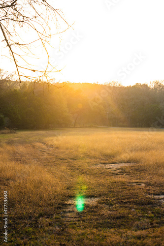 Texas Land photo