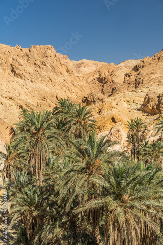 View of Chbika - mountain oasis in western Tunisia -Tozeur governorate - Tunisia 