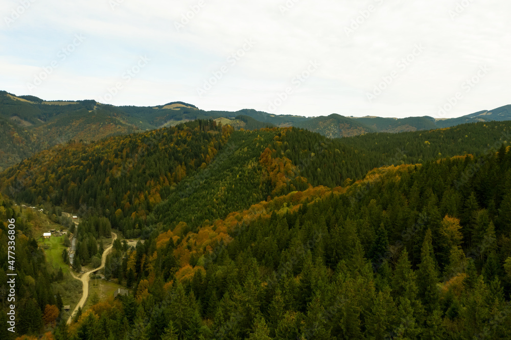Aerial view of beautiful mountain forest on autumn day Aerial view of beautiful mountain forest on autumn day