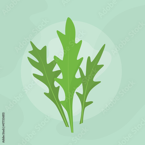 fresh arugula leaves icon -vector illustration