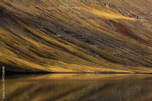 scenic reflection in iceland