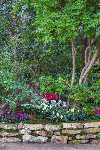 The idea of decorating the interior of a winter garden with tropical and exotic plants