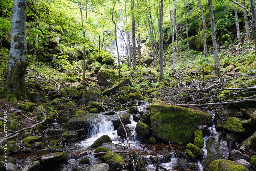 The beautiful Chiprovtsi waterfall The beautiful Chiprovtsi waterfall