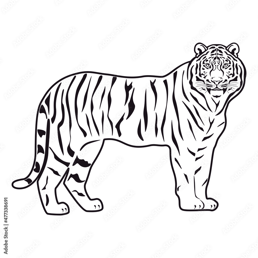 Obraz premium Tiger symbol. Icon, logo or tattoo. Vector illustration.
