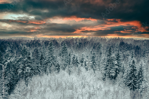 Magic winter forest covered by snow at sunset