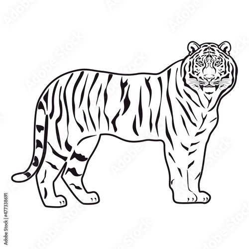 Tiger symbol. Icon  logo or tattoo. Vector illustration.