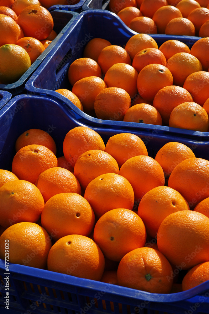 organic and fresh oranges at the market