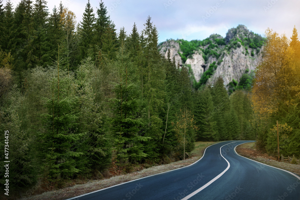 Beautiful view of forest and empty asphalt road leading to mountains