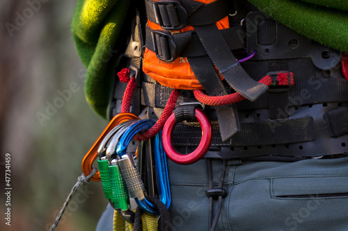 Climbing harness from an arborist photo