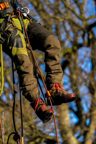 arboristic with a chainsaw by a professional