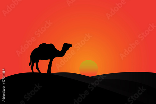 Camel silhouette during a desert sunset  Landscape of the Desert  camel silhouettes Illustration.