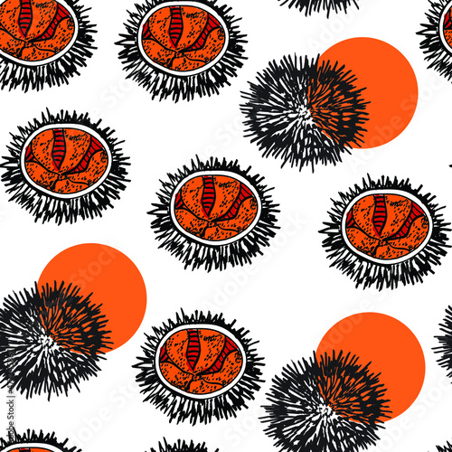 sea urchin, sea food, asian vector seamless pattern isolated on bright background. Concept for menu, cards, print, textile