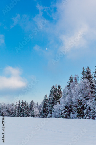snow covered trees in the mountains and moon © TheZerdas