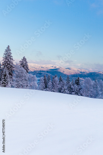 snow covered mountains © TheZerdas