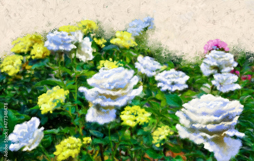Fototapeta Naklejka Na Ścianę i Meble -  Oil paintings landscape, white roses in the garden, white flowers in the garden