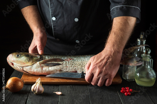The chef prepares silver carp in the restaurant kitchen. Preparation for cutting fish with a knife. Work environment on the kitchen table.