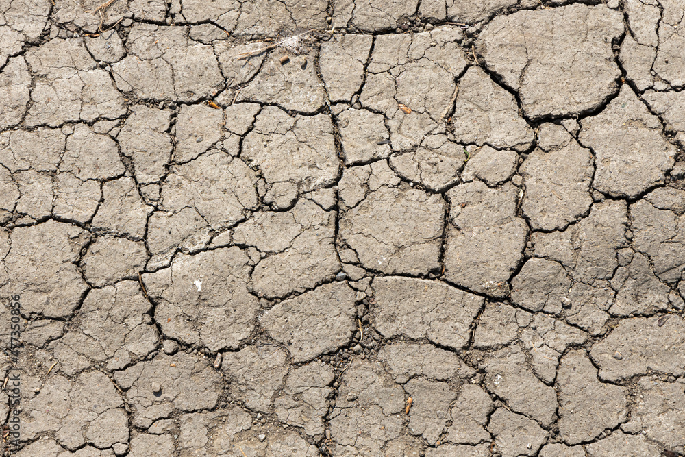 Texture of Brown cracked soil path is in a summer park Texture of Brown cracked soil path is in a summer park