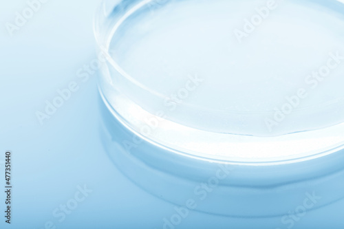 Wallpaper Mural Medicine concept. Petri dish with transparent liquid on glossy laboratory table background with copy space. Analysis, chemical experiment equipment. Blue gradient map filter. Shallow depth of field Torontodigital.ca