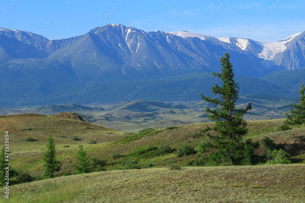 High mountain North-Chuisky range with glacier and snow-capped peaks and Kurai steppe, with hills and trees in summer
