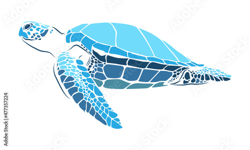 graphic sea turtle,vector illustration of sea turtle,vector of turtle design on a white background