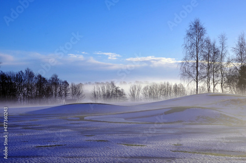 Beautiful Winter Scene © RandiGrace