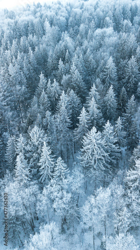 Vertical banner of snowy forest from air. Pines and other trees covered in snow.Nature concept. Christmas
