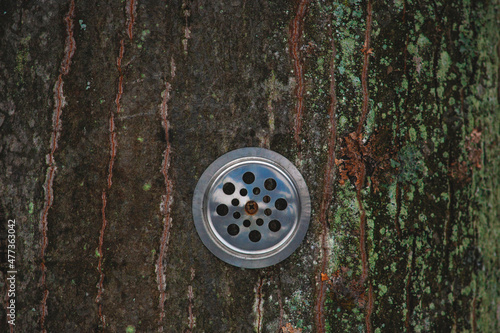 abstract piece of iron on the bark of a tree