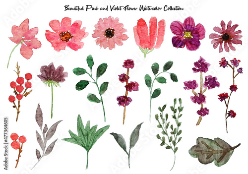 set of beautiful pink and violet flowers
