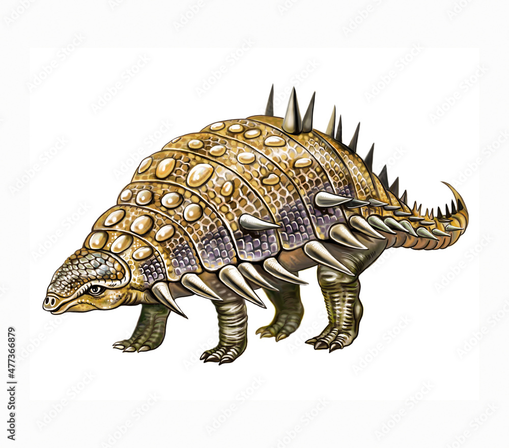 Fototapeta premium Dinosaur Nodosaurus