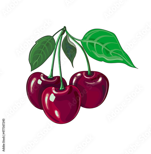 Bunch of three ripe red cherries. Fruit in a cartoon style. Stock vector illustration isolated on a white background.
