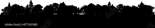 dense tree line background landscape