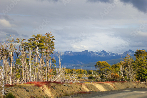 Patagonia Cordillera de Darwin , autumn mountains , Darwin mountain range photo