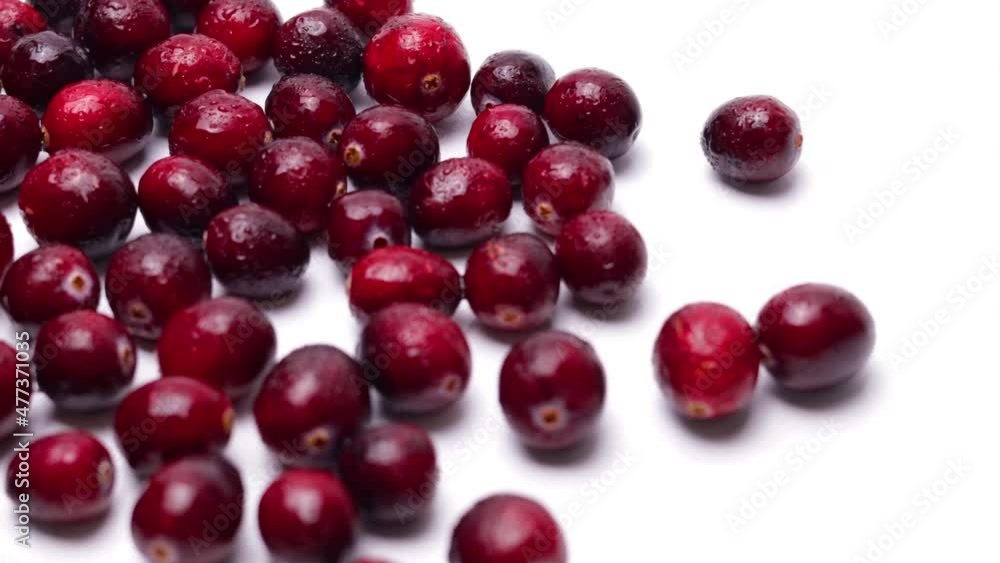 fresh red cranberries isolated on white background fresh red cranberries isolated on white background