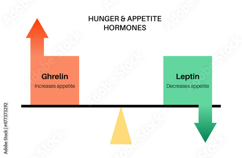 Hunger appetite hormones