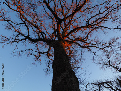 In der Morgensonne