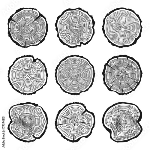 Round tree trunk cuts with cracks, sawn pine or oak slices, lumber. Saw cut timber, wood. Wooden texture with tree rings. Hand drawn sketch. Vector illustration