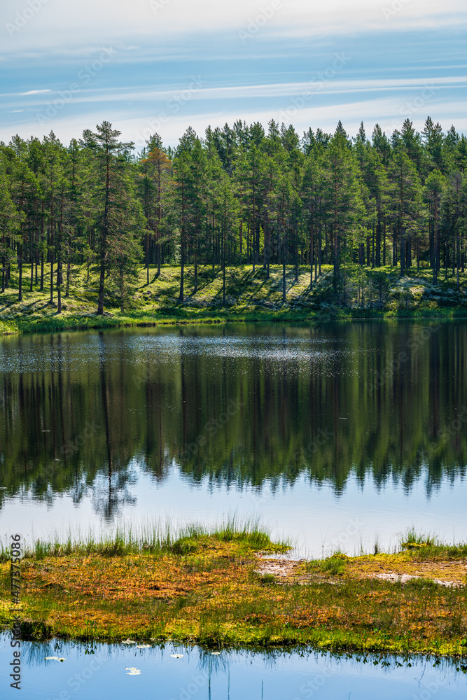 Beautiful view across a small tarn in a summer forest in Sweden