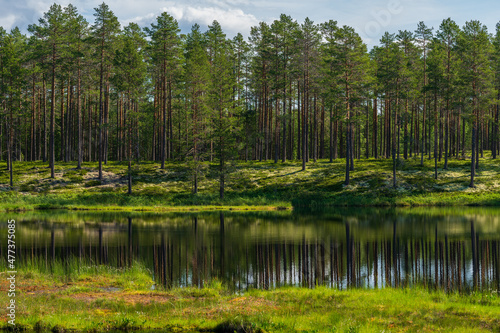 Beautiful view across a lake in a forest in Sweden