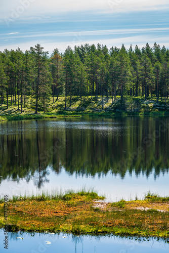 Beautiful view across a small tarn in a summer forest in Sweden