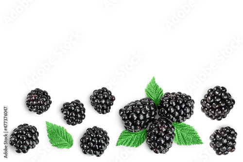 blackberry isolated on a white background closeup. Clipping path and full depth of field. Top view. Flat lay