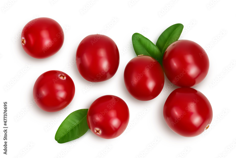 Cranberry with leaves isolated on white background with clipping path and full depth of field. Top view. Flat lay Cranberry with leaves isolated on white background with clipping path and full depth of field. Top view. Flat lay